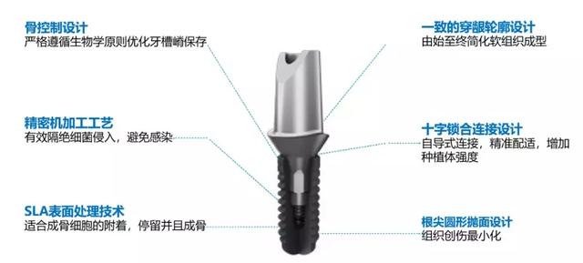 选择Apex种植系统的三大理由