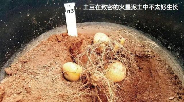 怎样在火星上搞种植？