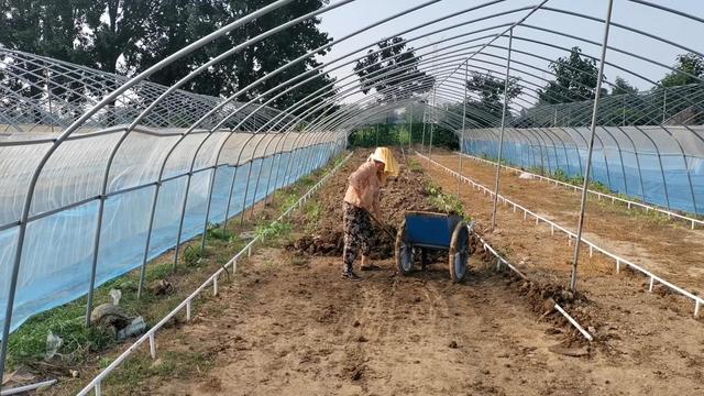 瓜果重茬种植根弱产量低，开始换成无土栽培，省钱长势好