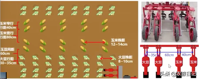 玉米大豆带状复合种植模式下，杂草该如何防治？专家给出了答案