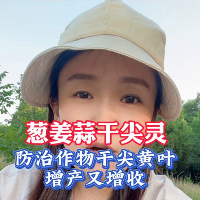 葱姜蒜用它喷一喷，防治作物干尖黄叶增产又增收#大蒜种植