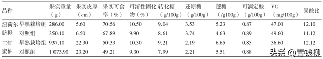 想让柑橘产量翻倍？早熟栽培技术是关键！