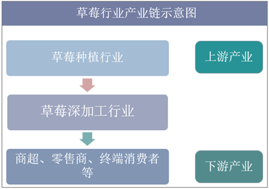 中国草莓行业持续看好吗？要不要回家种几亩？别急，看完再决定