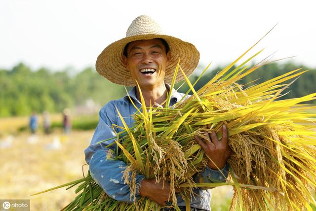 很多农民搞种植为什么就是赚不到大钱？兰花等种植如何快速变现？