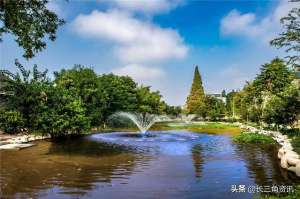 蚕菜种植(海宁这个地方飘来一朵“荆斗云” 请你帮它设计吉祥物)