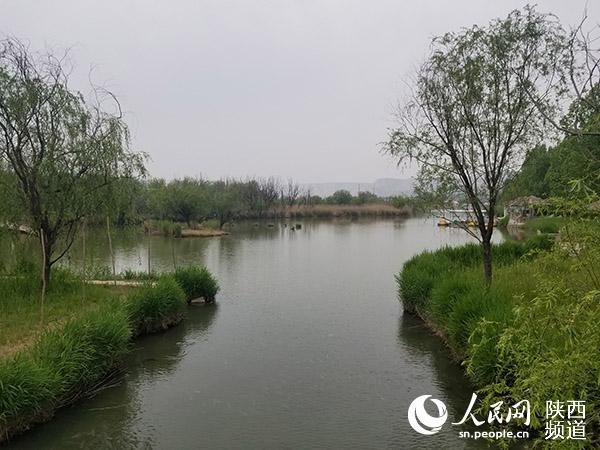 产业园区 生态景区 陕西合阳为沿黄增添“诗情花意”