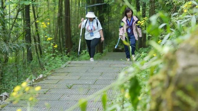 为爱攀登！首瑞女性植发“爱心招募”公益活动正式启航