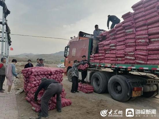 欣欣向荣的日照｜⑦“洪凝街道红泥崖村：小蘑菇开辟乡村振兴致富路