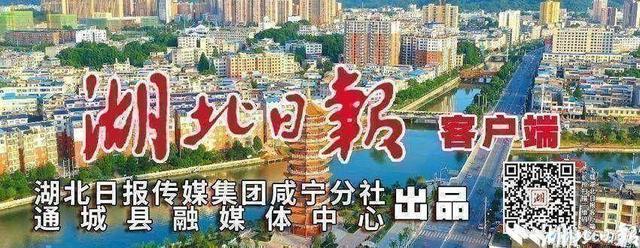 通城：国土绿化提升绿水青山“颜”“值”