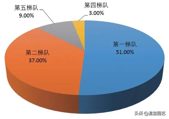 速看｜2020云南花卉产业发展情况分析