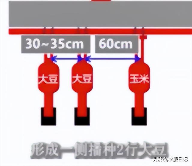 玉米大豆带状复合种植模式下，杂草该如何防治？专家给出了答案