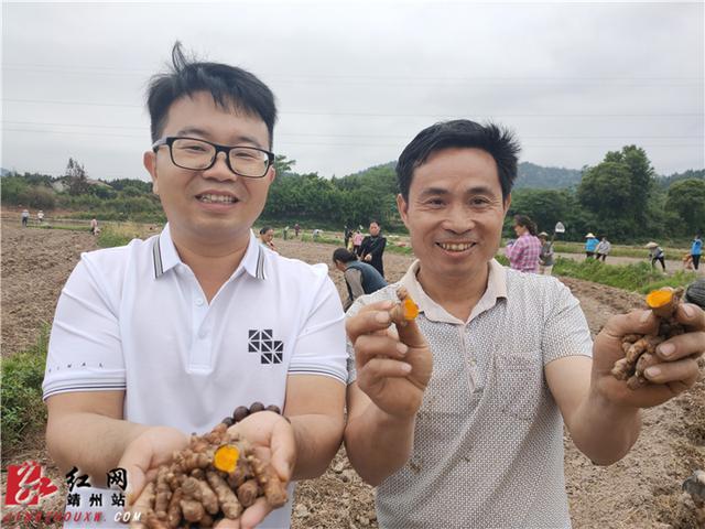 靖州打造千亩药材种植示范基地