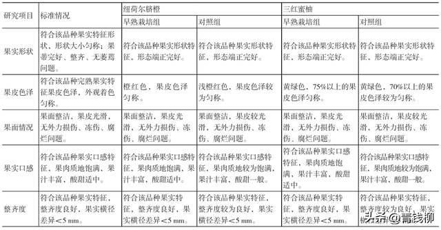 想让柑橘产量翻倍？早熟栽培技术是关键！