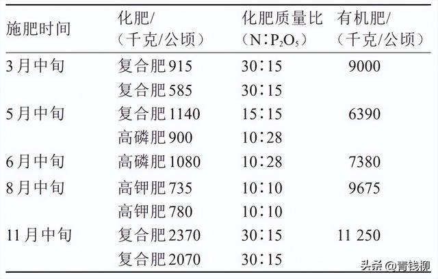 “双矮”苹果高效栽培技术