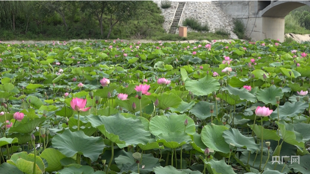 「乡村振兴看内蒙古」赤峰当铺地满族乡：农旅融合绘就山水田园好风光