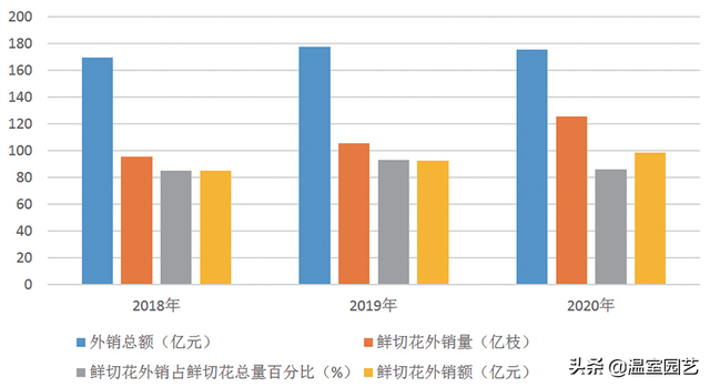 速看｜2020云南花卉产业发展情况分析