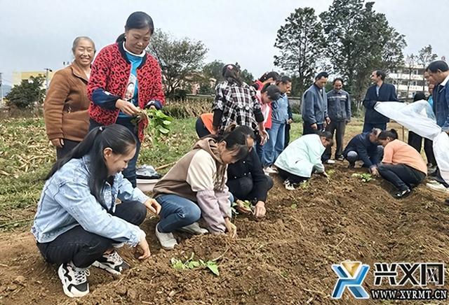 兴义市2023年高素质农民蔬菜种植技术（妇女）专班培训开班