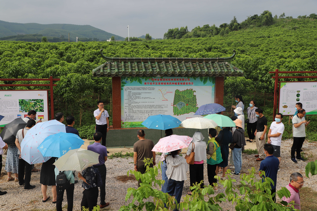 2022年全区乡村振兴中药材标准化种植技术培训班在南宁举办