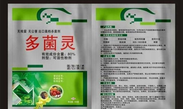 平菇种植，不能凭想象，要扎实的掌握技术，别踩那些“坑”