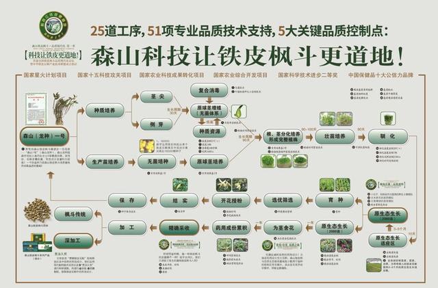 ​影响世界的中国植物--国草•铁皮石斛，是如何长成的？