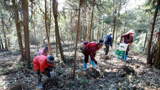 广东省佛山顺德区携手贵州剑河绘就乡村振兴新画卷