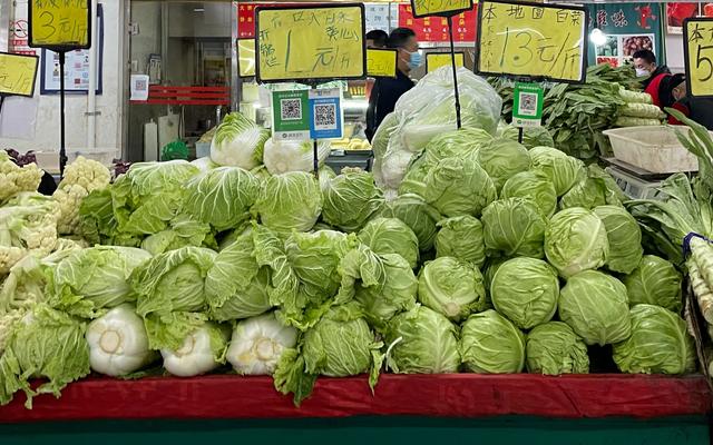 冬储大白菜“兜底”供应 上百种“特菜”已在北京长期种植