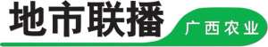 北京火龙果种植(广西隆安：5000多亩火龙果地，种的是果，收获的是……)