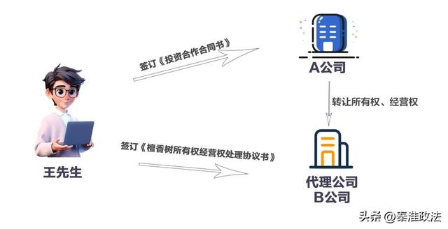 跟我一起认养檀香树吗？能赚400万的那种！