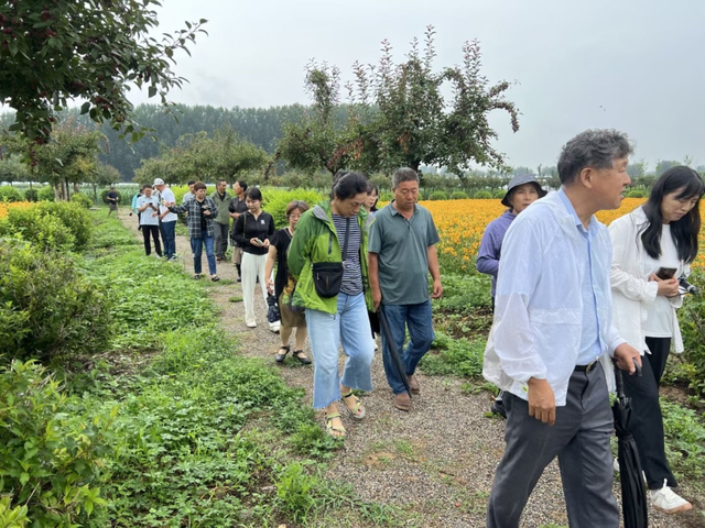 这家公司打造了北京最大面积的萱草花海，还这样运营农业休闲园区