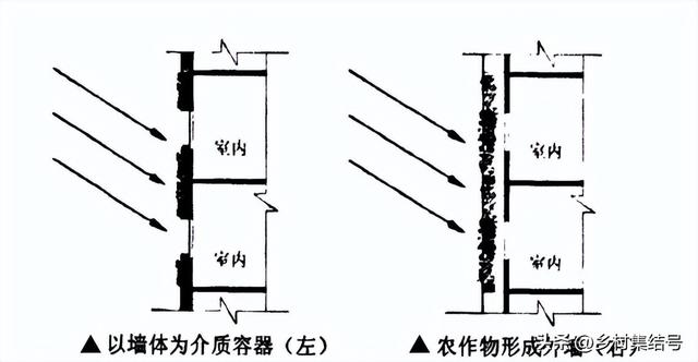 在家种植？办公室种植？垂直农业会成为下一道风口吗？