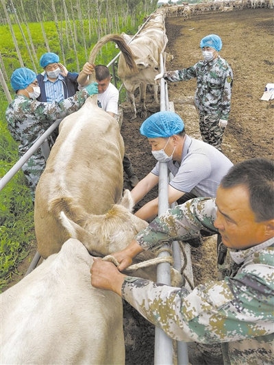 奋进新征程 建功新时代·非凡十年丨用活用好资源禀赋 新疆特色优势产业不断壮大