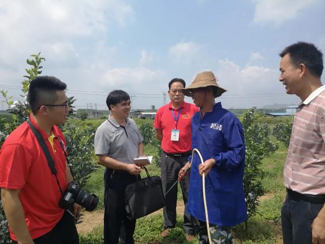 【千名记者一线行】香！甜！脆！扶贫水果撬动贫困村“致富梦”