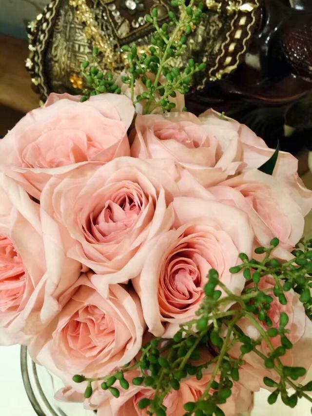七夕节，女生收到粉玫瑰盆栽该怎么种？学会扦插4技巧，让爱长留