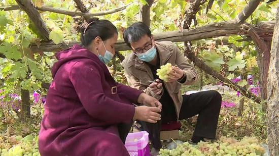 余渔：北大博士横跨8000里 扎根南疆乡村