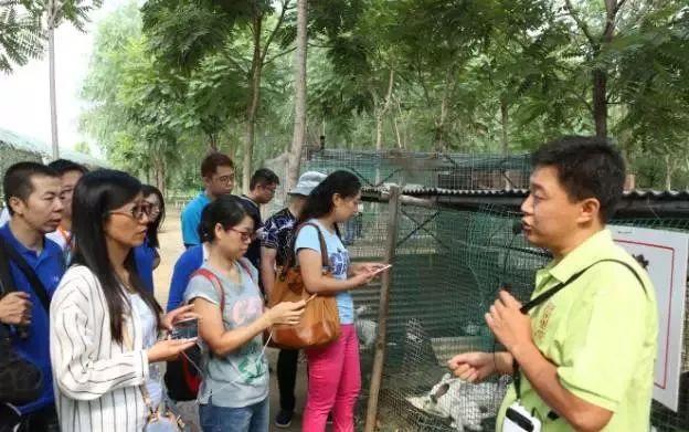 我的药园，你的乐园！这样种植中草药，亩均效益能翻倍