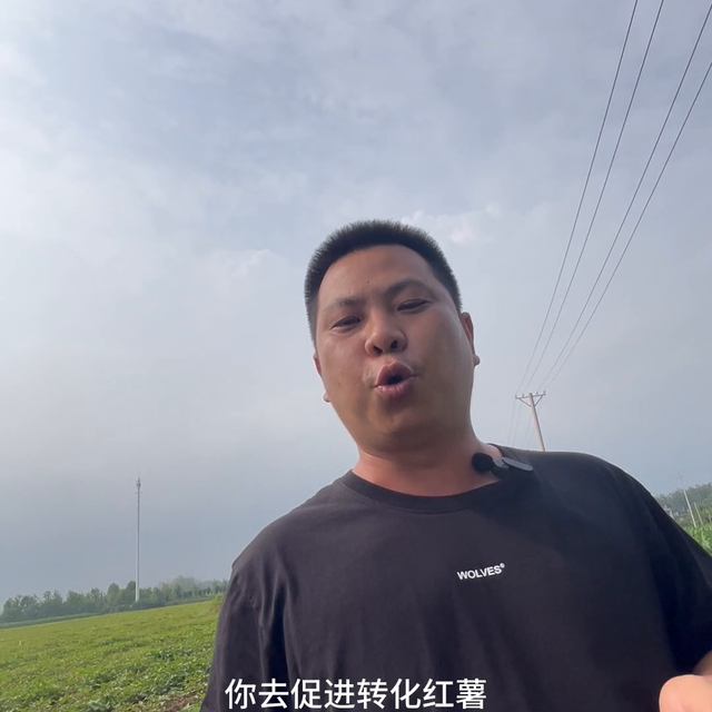 种红薯，你是种来玩玩还是当做事业来做的？#三农