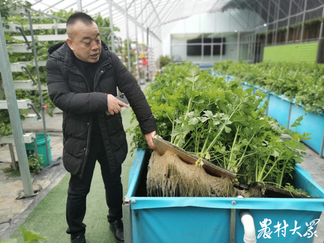 田间连车间，这个蔬菜种植基地实现“接二连三”