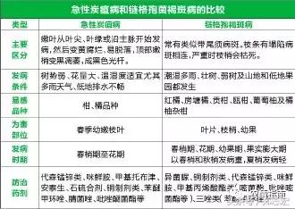 德庆、仁化的朋友看过来！全面解析认识贡柑褐斑病，这下你有福了