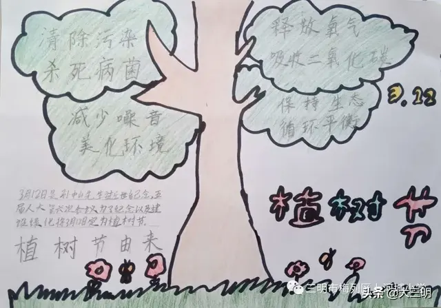 抗疫宅家，我为爱播种——上河城小学“3.12”植树节活动