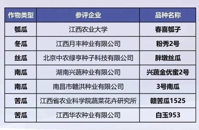 40个品种获重点推介！江西“蔬”写种业振兴新篇