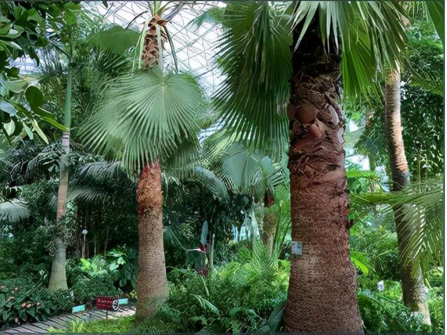 揭秘世界花卉大观园三大“镇园植宝”，树龄相加超1000岁