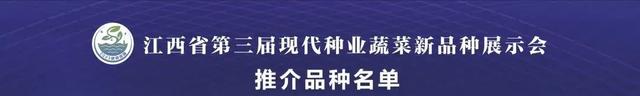 40个品种获重点推介！江西“蔬”写种业振兴新篇