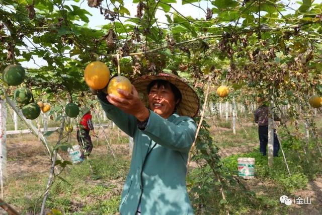 重磅！农村宅基地也能抵押贷款了！（文末有福利）