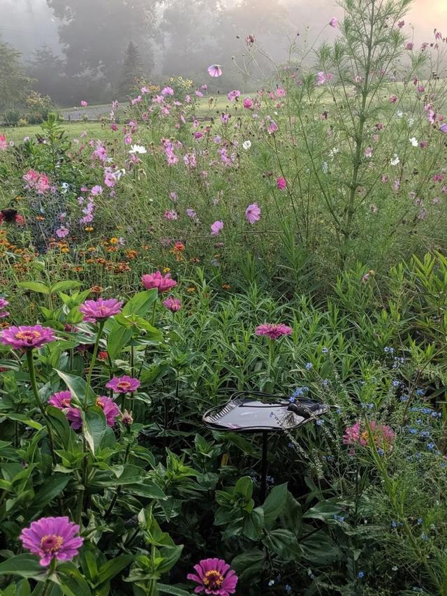 最新花园种菜攻略