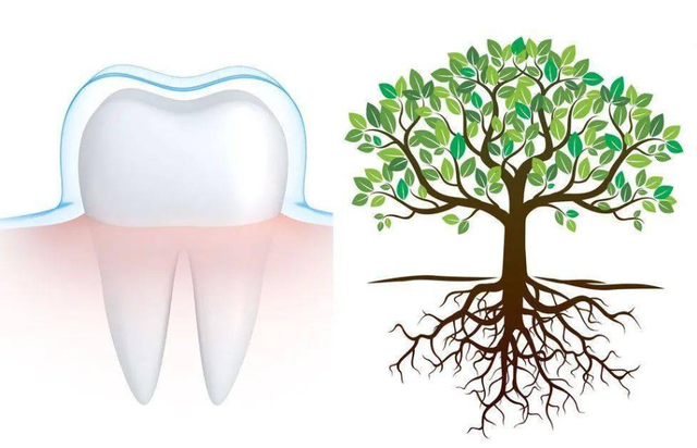 把牙“等掉”就能种？医生：还是得先治疗牙周炎