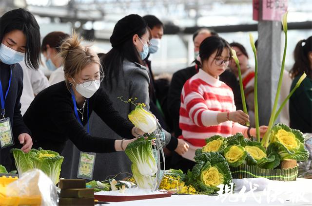 高颜值高营养！南农大的这款黄玫瑰“菜”华横溢