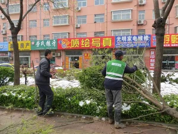 「收藏」园林绿化施工技术汇总