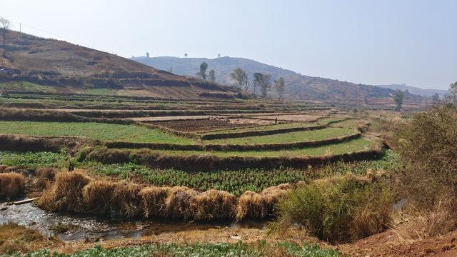 新年开门红 文山市红甸乡3000亩荸荠采挖忙