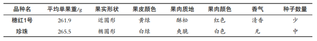 如何实现‘穗红1号’番石榴实现高产及配套栽培技术