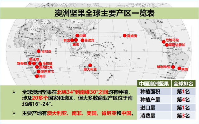 澳洲坚果（夏威夷果）的种植条件以及全球主产区分布、近期产量